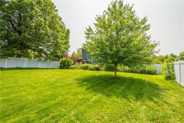 101 Cara Lin Dr, Forest Hills Boro, PA 15221 - photo 5