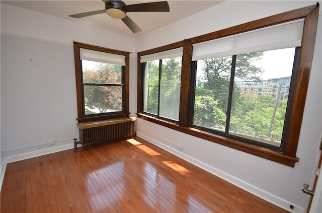 4323 Andover Ter, Schenley Farms, PA 15213 - photo 13
