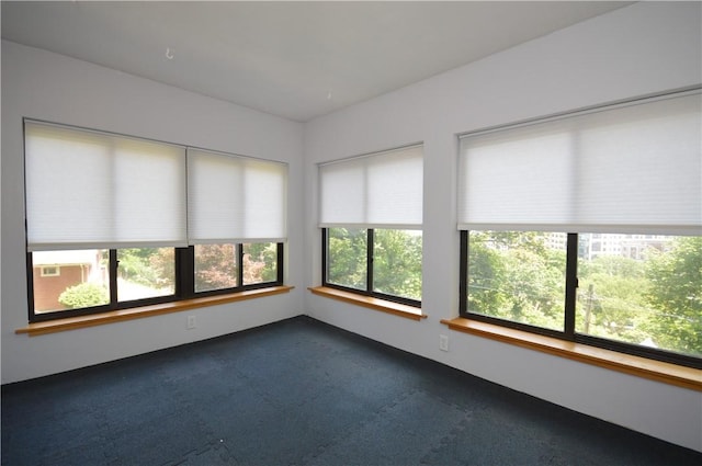 4323 Andover Ter, Schenley Farms, PA 15213 - photo 28
