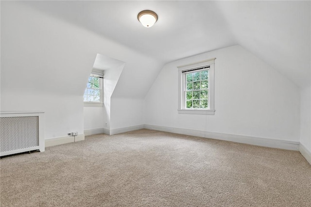 6699 Kinsman Rd, Squirrel Hill, PA 15217 - photo 44