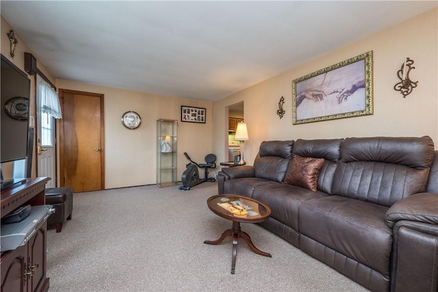 3917 Middleboro Rd, Castle Shannon, PA 15234 - photo 9