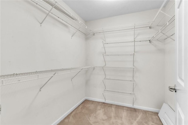 1023 Springfield Ct, Connoquenessing Twp, PA 16053 - photo 32
