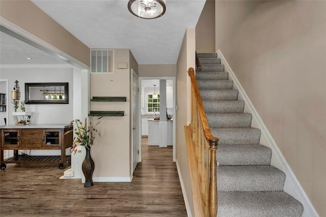 5025 Impala Dr, Murrysville, PA 15668 - photo 2