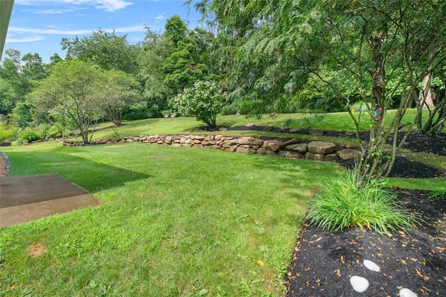 311 Frey Dr, Marshall, PA 15090 - photo 40