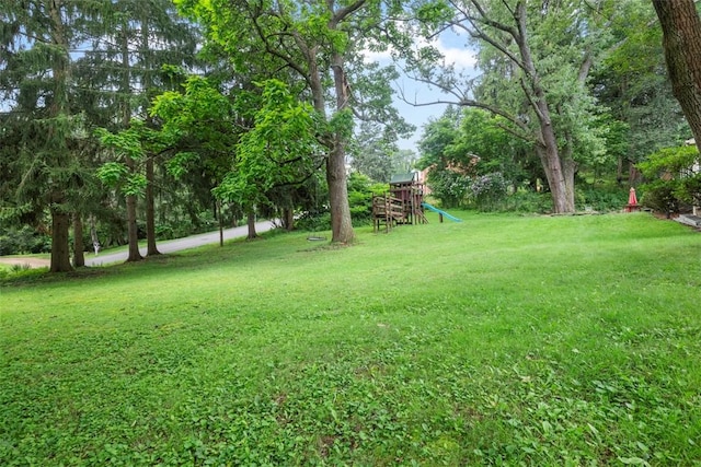 111 Hillcrest Dr, Ross Twp, PA 15237 - photo 32