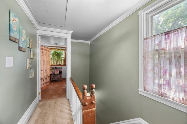 111 Hillcrest Dr, Ross Twp, PA 15237 - photo 17