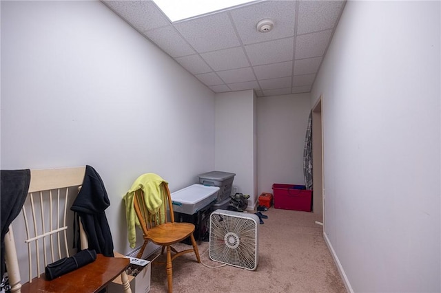 302 N Pennsylvania Ave, City Of Greensburg, PA 15601 - photo 7