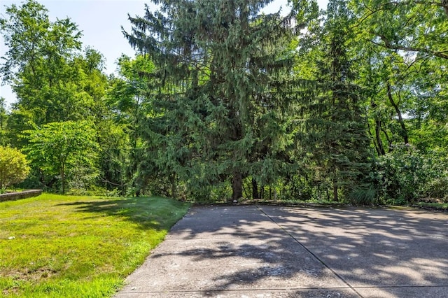 133 Point Vue Dr, Ross Twp, PA 15237 - photo 24