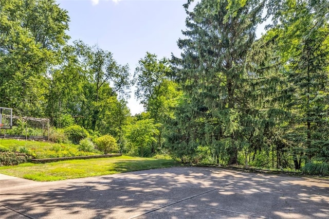 133 Point Vue Dr, Ross Twp, PA 15237 - photo 25