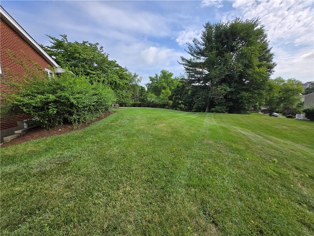 264 Allison Rd, Richland, PA 15044 - photo 29