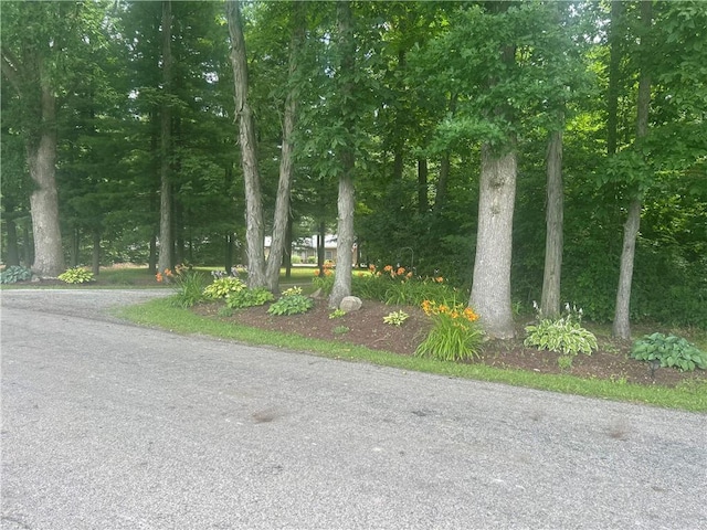 78 Folk Rd, Fredonia, PA 16124 - photo 5