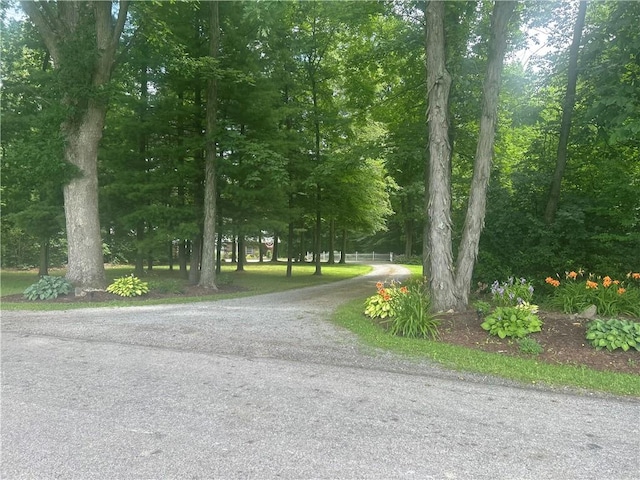 78 Folk Rd, Fredonia, PA 16124 - photo 4