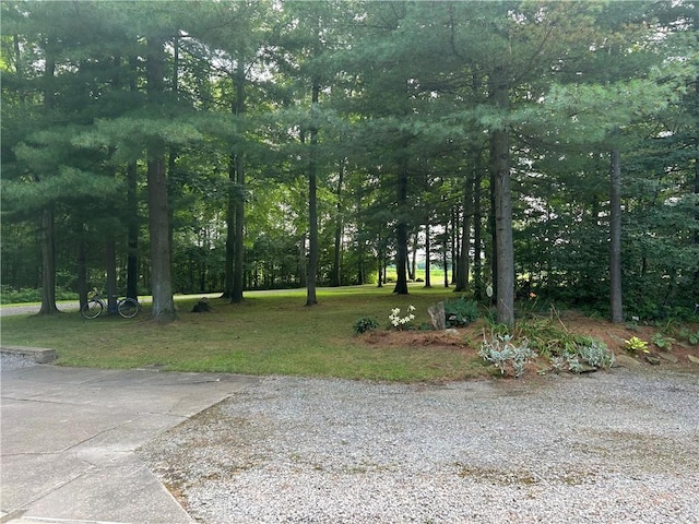 78 Folk Rd, Fredonia, PA 16124 - photo 48