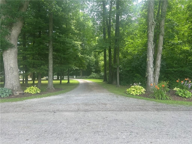 78 Folk Rd, Fredonia, PA 16124 - photo 49
