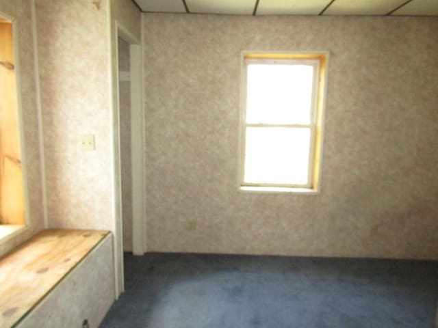 6 Browarsky Blvd, Avella, PA 15312 - photo 15
