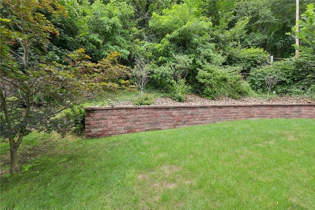 711 Larimer Ave, Wilkins Twp, PA 15145 - photo 39