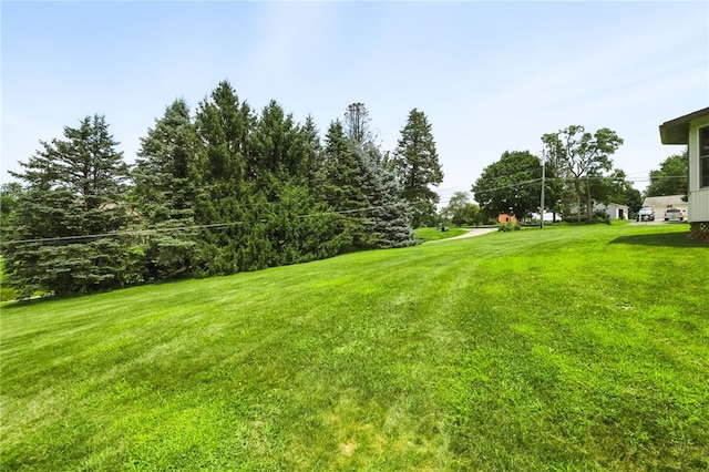 103 Allen Dr, Adams Twp, PA 16046 - photo 36