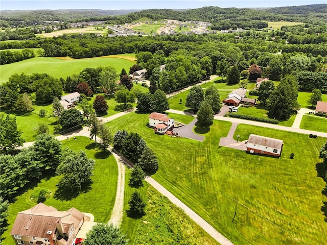 103 Allen Dr, Adams Twp, PA 16046 - photo 38