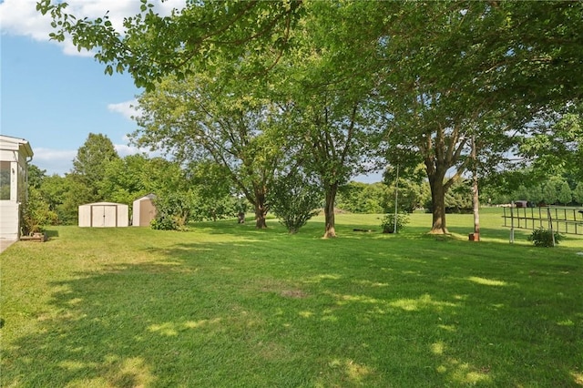 1229 Mohawk School Rd, Mahoning Twp, PA 16116 - photo 33