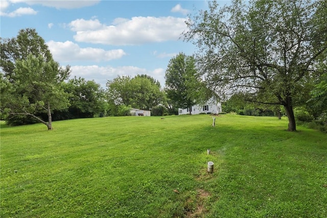 1229 Mohawk School Rd, Mahoning Twp, PA 16116 - photo 34