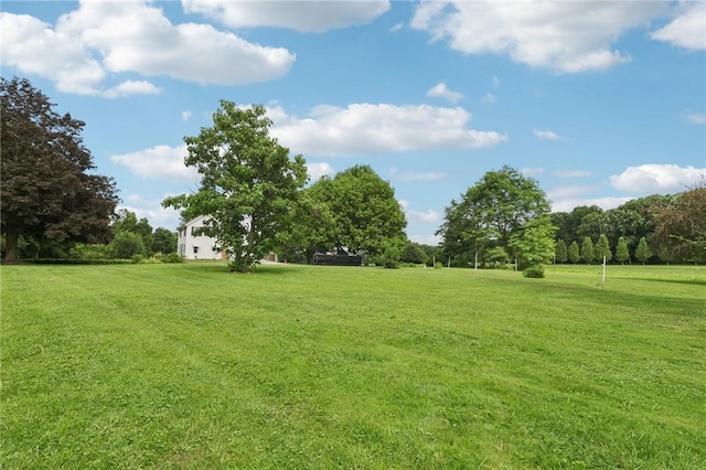 1229 Mohawk School Rd, Mahoning Twp, PA 16116 - photo 35