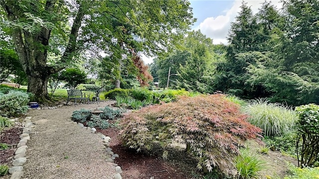 5 Devon Ln, Ben Avon Heights, PA 15202 - photo 42