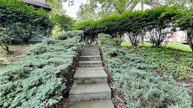 5 Devon Ln, Ben Avon Heights, PA 15202 - photo 44