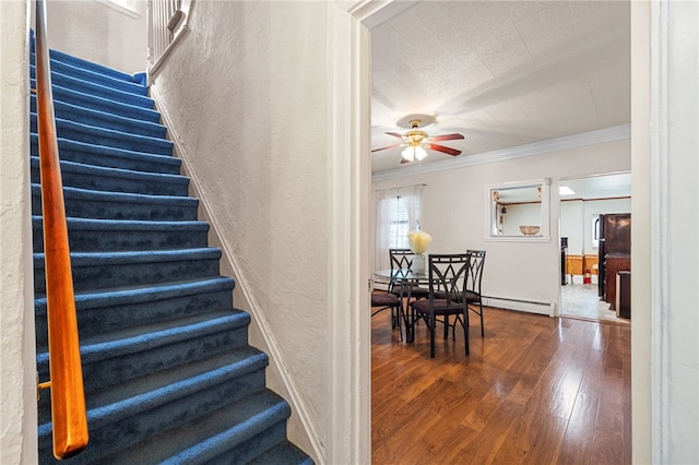 2207 Sarah St, South Side, PA 15203 - photo 4