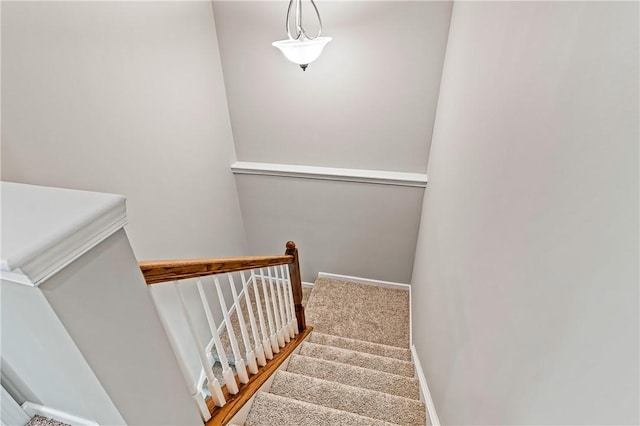 150 Southern Valley Ct, Adams Twp, PA 16046 - photo 24