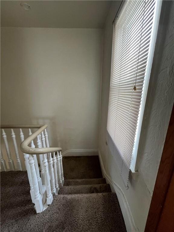 311 Sweetbriar St, Mt Washington, PA 15211 - photo 22