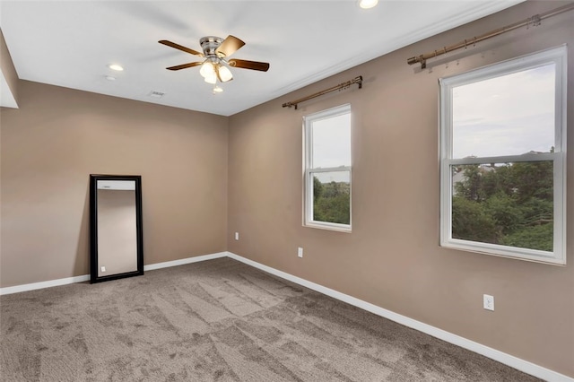 1110 Herron Ave, Polish Hill, PA 15219 - photo 15