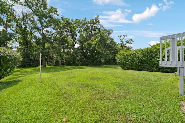 807 W 1st Ave, Derry Twp, PA 15627 - photo 28