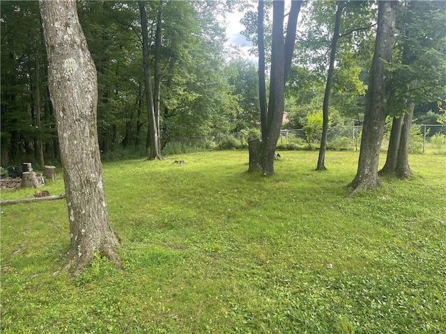 22 Pine St, Wheatland, PA 16161 - photo 41