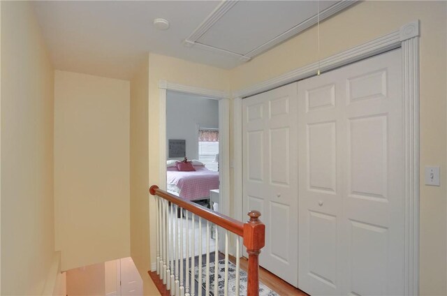 305 Beech St, Richland, PA 15044 - photo 22