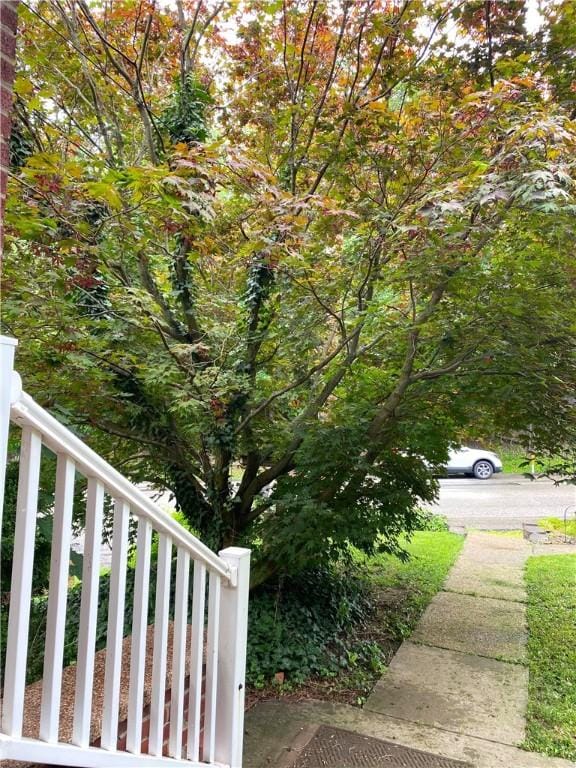 1017 Forest Ave, Ross Twp, PA 15202 - photo 26