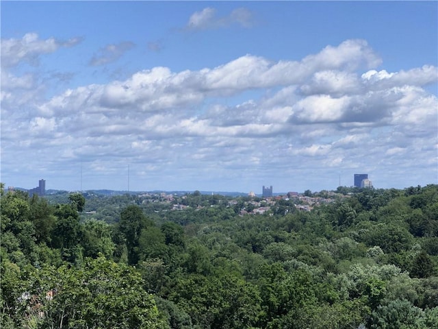 1678 Potomac Ave, Dormont, PA 15216 - photo 46