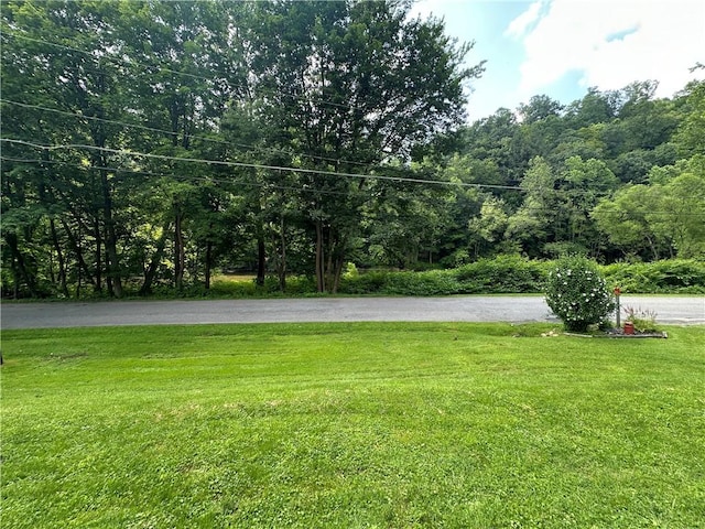 944 Van Gorder Mill Rd, Perry Twp, PA 16117 - photo 11