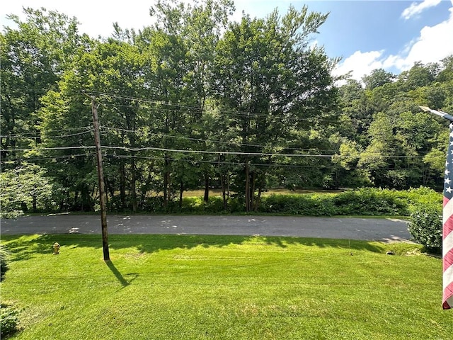 944 Van Gorder Mill Rd, Perry Twp, PA 16117 - photo 22