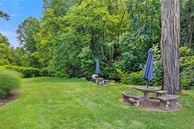 300 Gilkeson Rd Unit 10B, Mt Lebanon, PA 15228 - photo 30