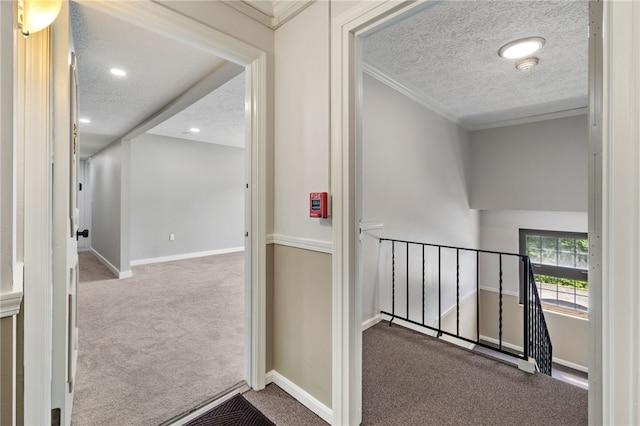 300 Gilkeson Rd Unit 10B, Mt Lebanon, PA 15228 - photo 5