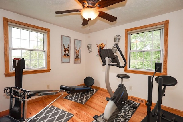 250 Harvey Dr, Cranberry Township, PA 16346 - photo 34