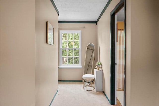 4899 Sioux Ct, Hampton, PA 15044 - photo 28
