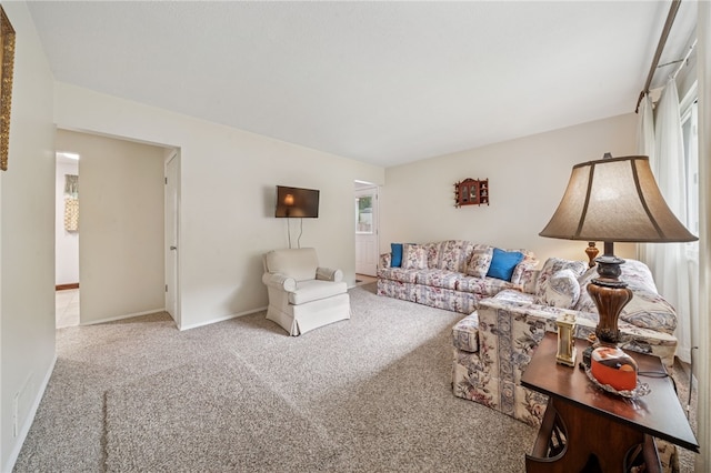 113 Tyrolia Rd, Monroeville, PA 15146 - photo 10