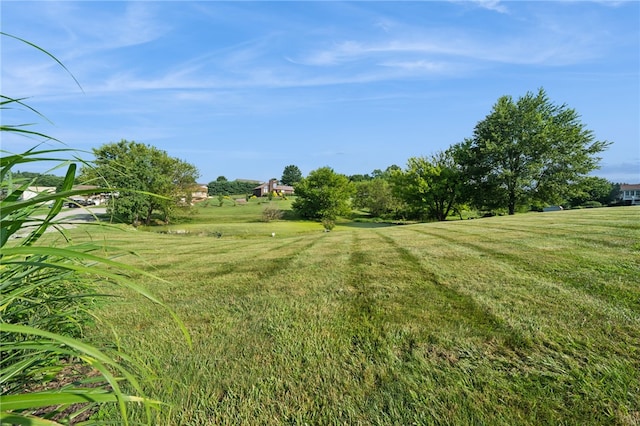 5 Trice Dr, Mount Pleasant Twp, PA 15666 - photo 7