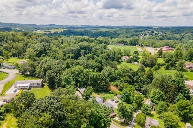 304 Beallsville Rd, Bentleyville, PA 15314 - photo 32