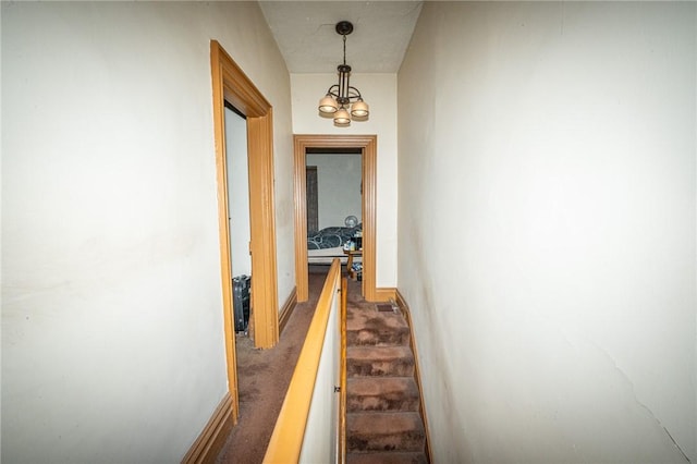 837 Spring Garden Ave, Spring Garden, PA 15212 - photo 18