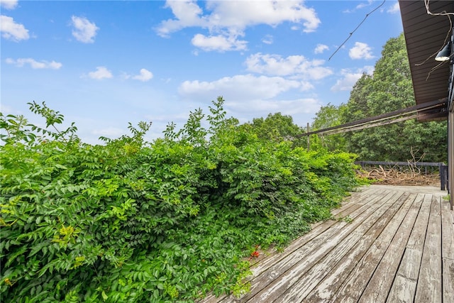 277 Bennetts Rd, Unity Twp, PA 15601 - photo 26