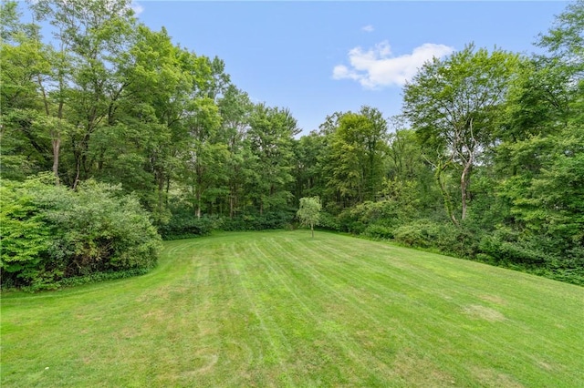 165 Wedgewood Dr, Richland, PA 15044 - photo 17