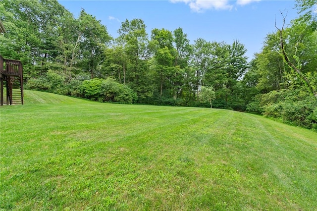 165 Wedgewood Dr, Richland, PA 15044 - photo 45
