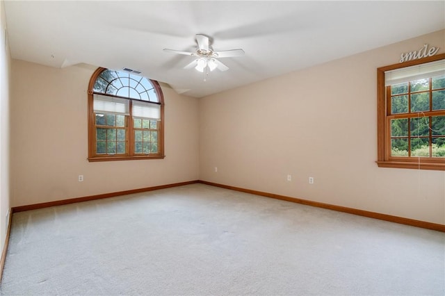 165 Wedgewood Dr, Richland, PA 15044 - photo 34